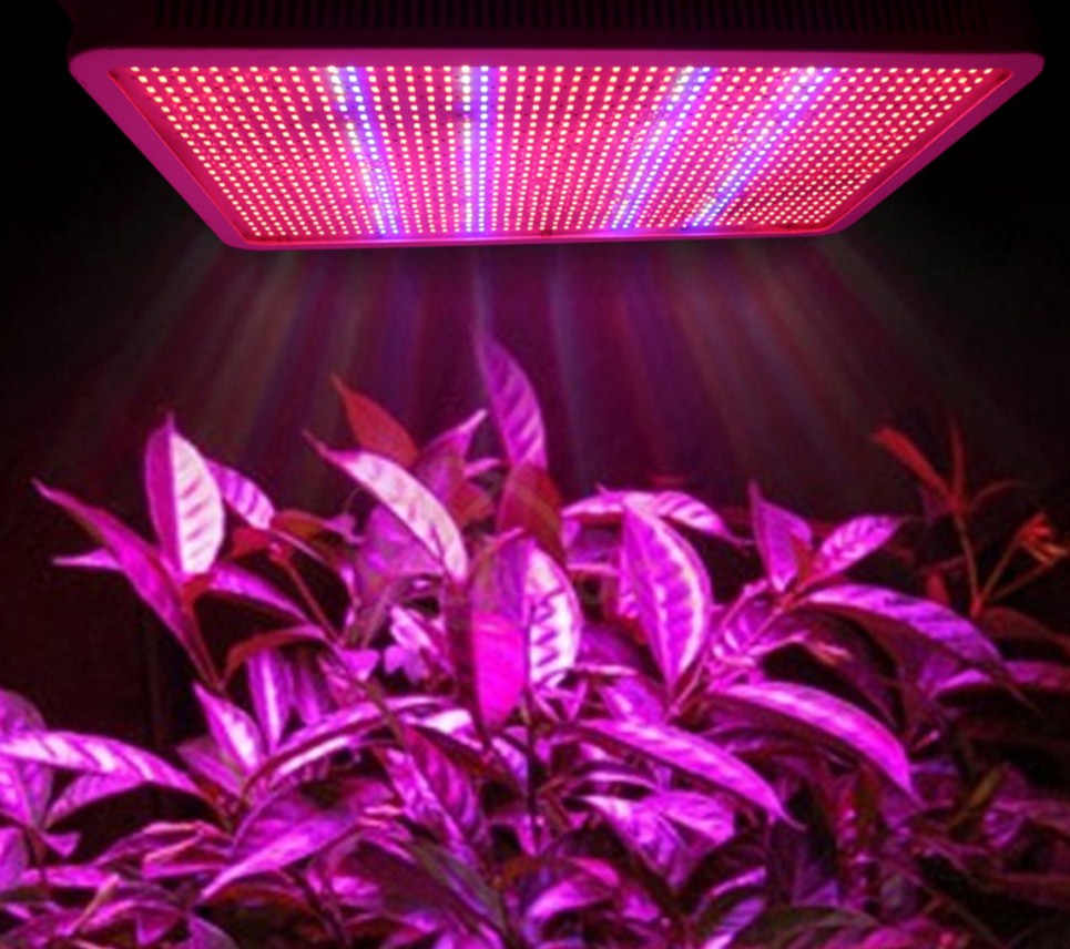 Светодиодная лампа для роста растений Billion Si Bei ZW0139-00-0 на 300 Вт (112-119) - 11