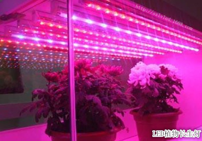 Светодиодная лампа для роста растений LED Lvyingguangdian Т5-T8 (112-115) - 5