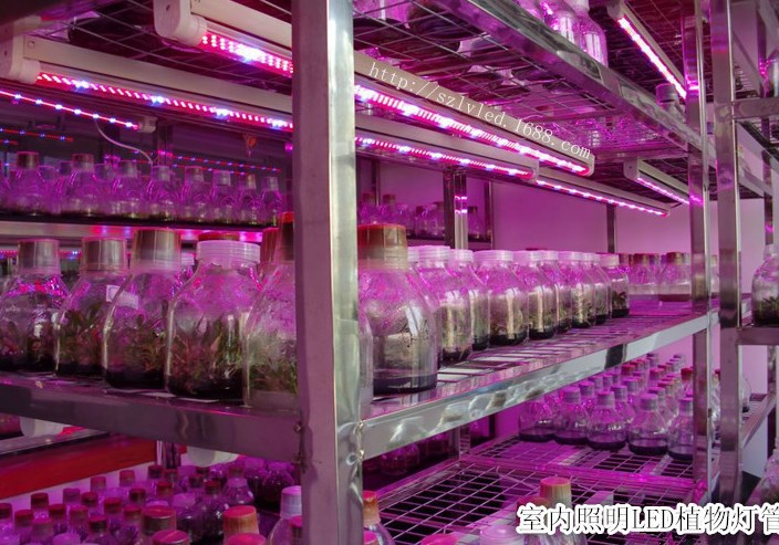Светодиодная лампа для роста растений LED Lvyingguangdian Т5-T8 (112-115) - 6