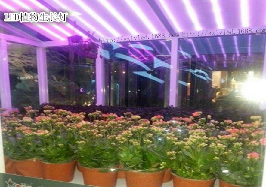 Светодиодная лампа для роста растений LED Lvyingguangdian T8-9W-23W (112-116) - 6