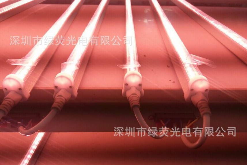 Светодиодная лампа для роста растений LED Lvyingguangdian T5-Т8-ZWD (112-111) - 3