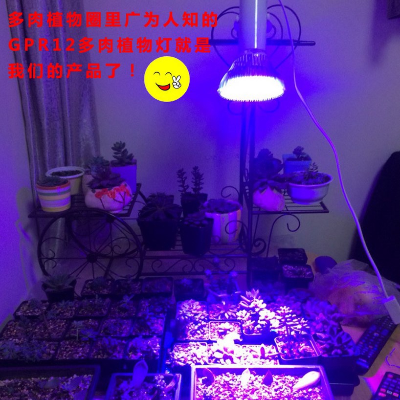 Светодиодная лампа для роста растений LED Qi Xin QX-PTXXA-12W-36W (112-113) - 3