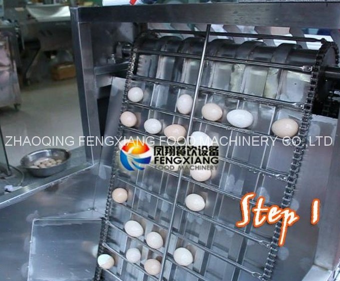 Машина для очистки куриных яиц FT-200 (111-101) - 2