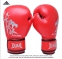Боксерские перчатки JDUANL - SD351 (131-102) - 13