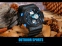 Водонепроницаемые электронные спортивные часы ZGO WATCH A316Z-X (123-108) - 13