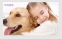 Дезинфицирующий дезодорант для домашних животных InnoPet (128-105) - 11