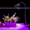 Светодиодная лампа для роста растений с зажимом Xin Qi GSR05-5W-15W (112-120) - 5