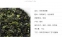 Жасминовый зеленый чай 2016 года Jing Fuyuan (121-104) - 6