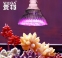 Светодиодная лампа для роста растений WEGA-WAN-P18-E27-5W-18W (112-103) - 2
