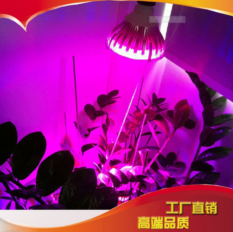 Светодиодная лампа для роста растений LED Judeyuan JDY-ZYD-013 (112-110)