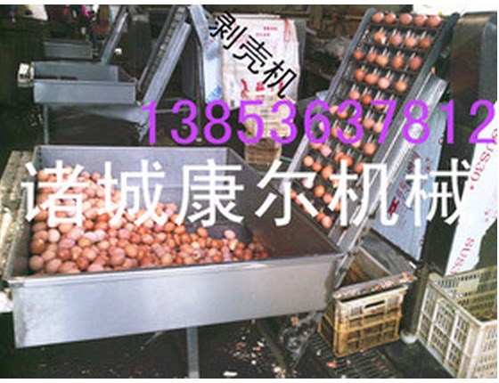 Машина для очистки куриных яиц Kanger JB-200 (5000 шт/час) (111-103) - 28979