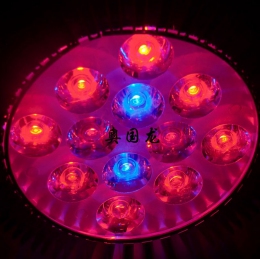 Светодиодная лампа для роста растений LED AGL-3W-18W (112-109)
