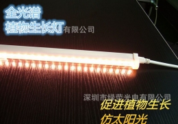 Светодиодная лампа для роста растений LED Lvyingguangdian T5-Т8-ZWD (112-111)
